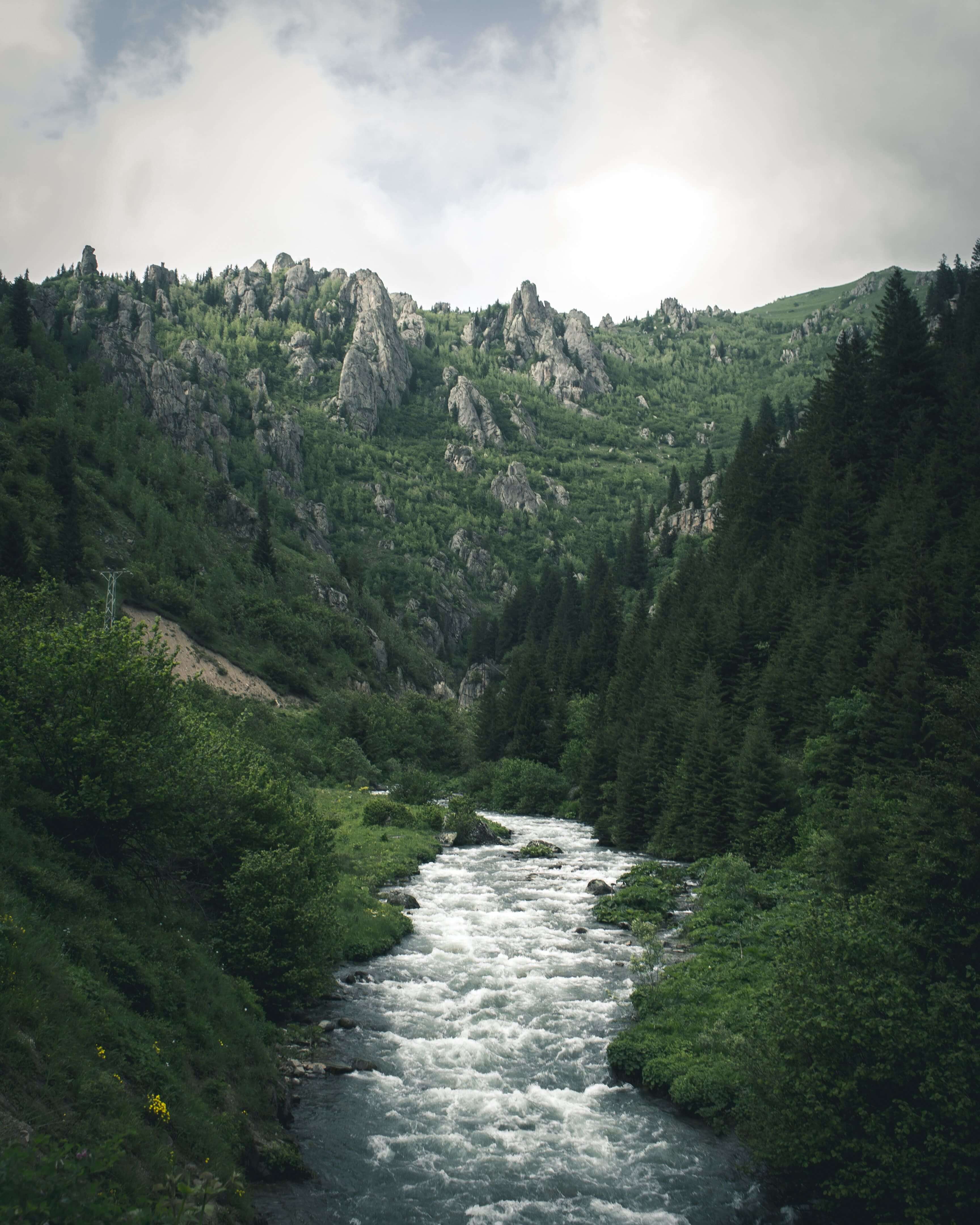 forest-waterfall