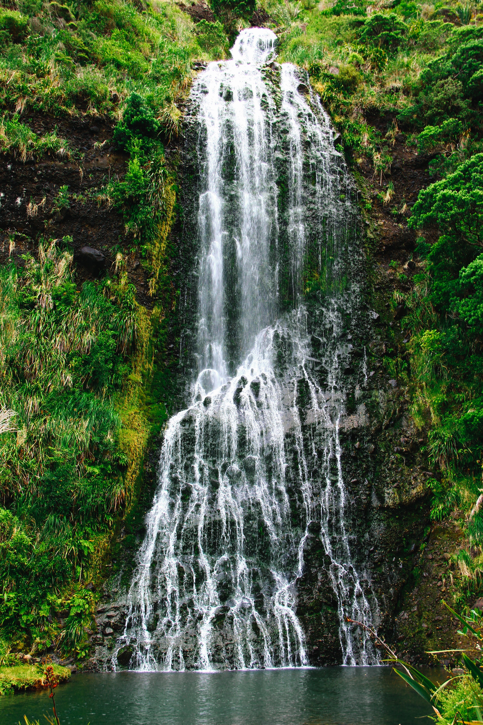 forest-waterfall