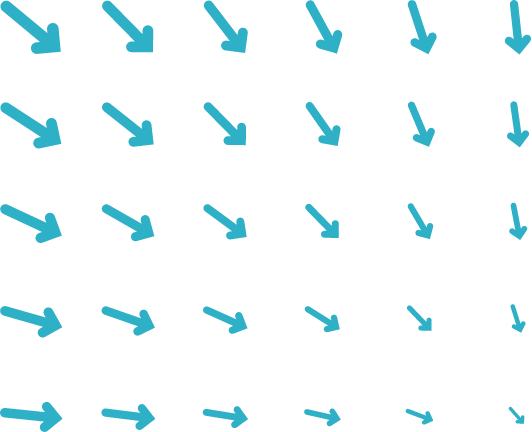 decoration-primary.png